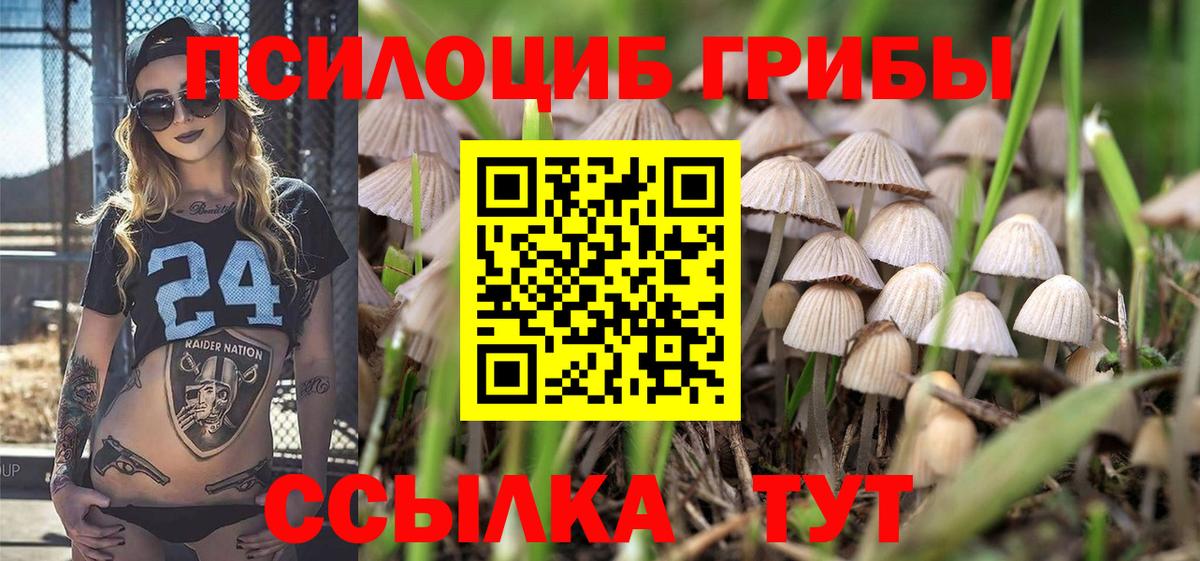 Электросталь  Галлюциногенные грибы Psilocybine cubensis  купить  сайты  Вход с VPN  Псилоцибиновые грибы GOLDEN TEACHER 