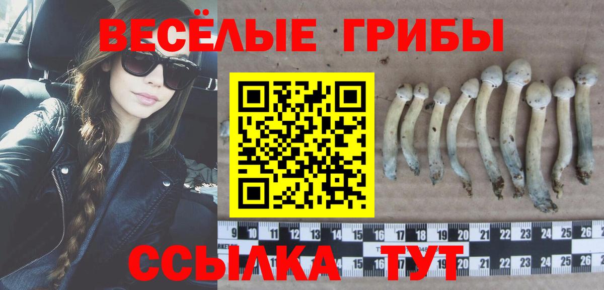 Псилоцибиновые грибы мухоморы Электросталь